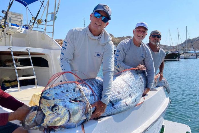 An oarfish found off the coast of Baja California Sur