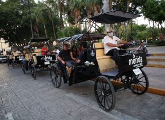 Guides give carriage tours through Mérida, Mexico