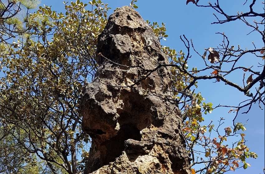 The King of the Goblins, in Tala, Jalisco