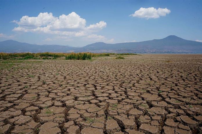 A completely dried out section of Lake Patzcuaro in Mexico, with cracks in the lake bed