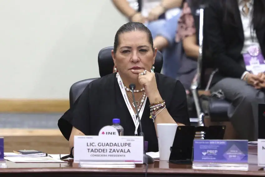 Guadalupe Taddei Zavala, INE president
