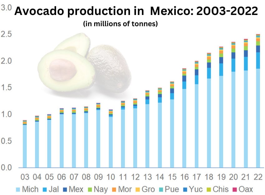 Bar chart showing avocado production in Mexico between 2003 and 2022 in millions of tonnes.