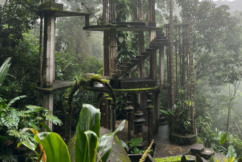 Xilitla gardens.