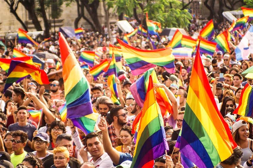 A outdoor crowd waving dozens of rainbow flags.