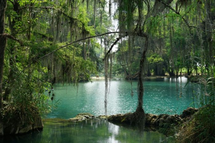 San Luis Potosí nature walks