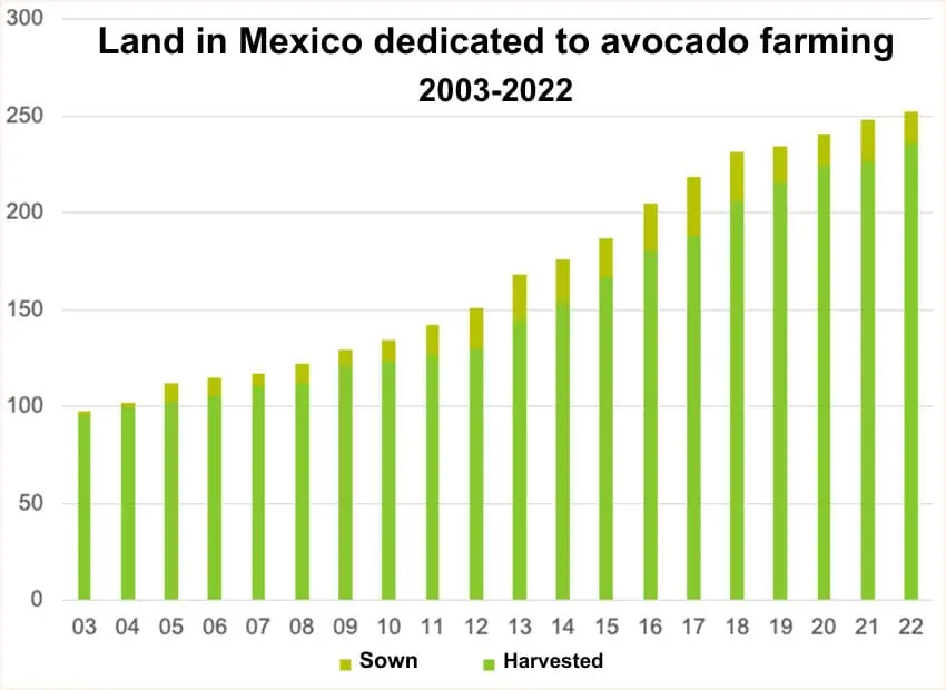 Bar chart showing the the number of hectares of land used in Mexico for avocado farming between 2003 and 2022