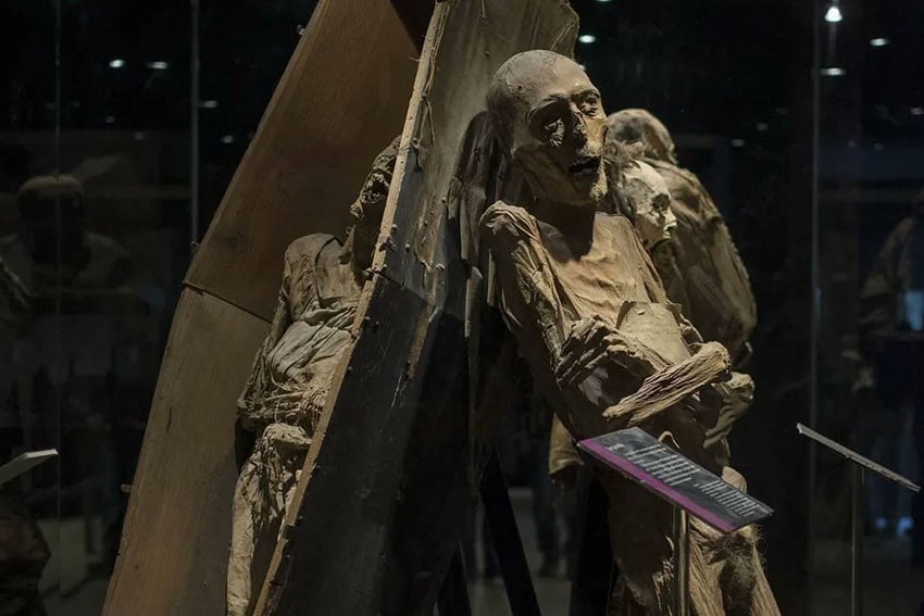 Three of the mummies on display at the Guanajuato Mummy Museum. Mummies are stood up against a wooden coffin.