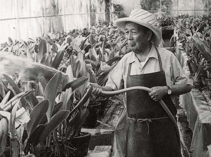 Tatsugoro Matsumoto watering plants