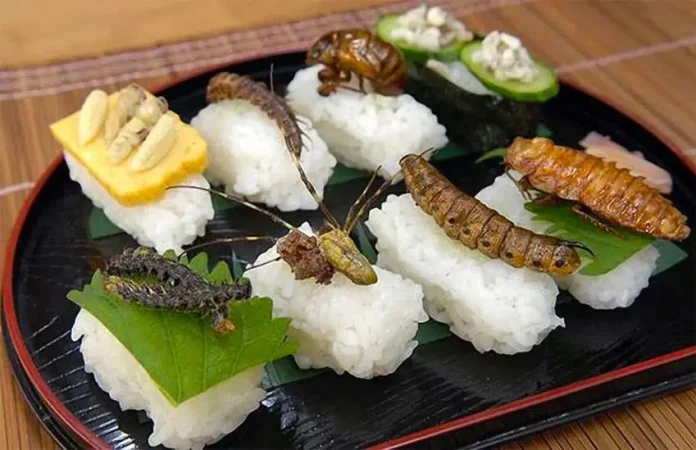 Bug sushi
